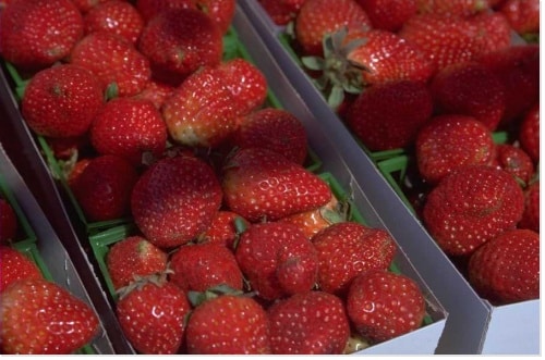 Les fraises arrivent: quelques idées de recettes!