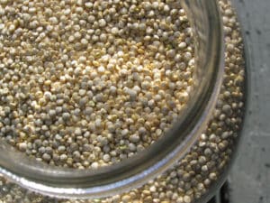 Le quinoa: un super-aliment