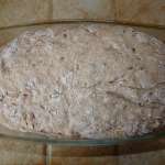 Pains à la farine complète : Plaisir et santé