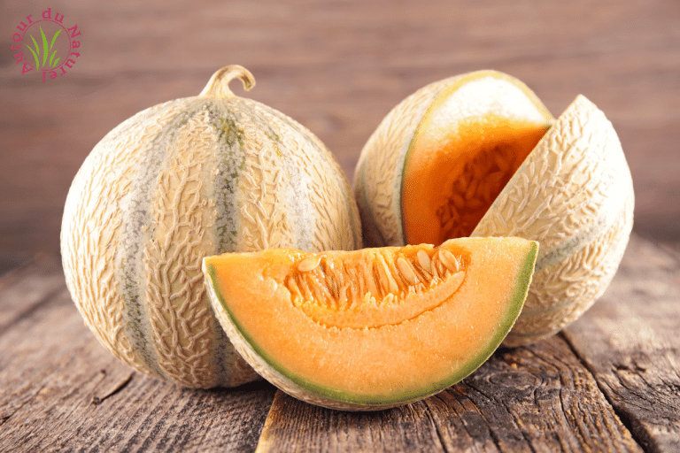 melons fruits et légumes de juillet
