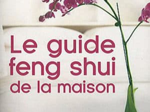 Le guide feng shui de la maison - Karen Kingston