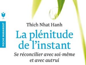 La plénitude de l'instant - Thich Nhat Hanh