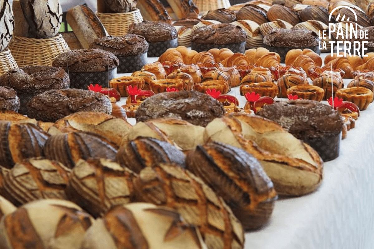 pains de la boulangerie le Pain de la Terre