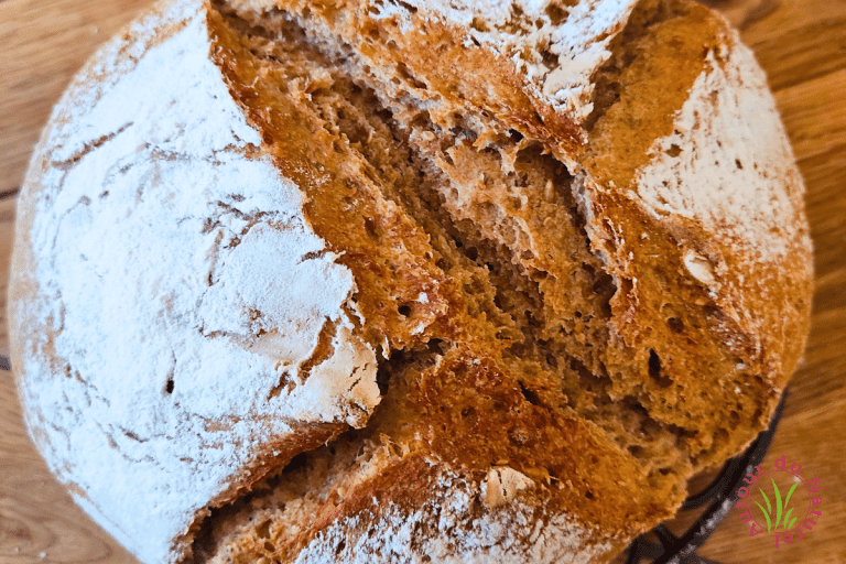 pain au levain maison à la farine complète